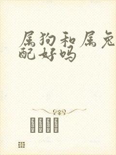 属狗和属兔的婚配好吗