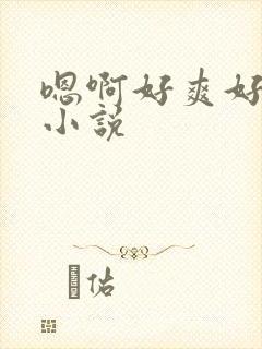 嗯啊好爽好舒服小说