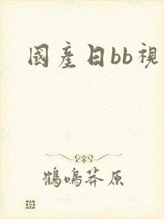 国产日bb视频