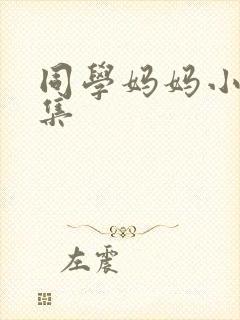 同学妈妈小说合集