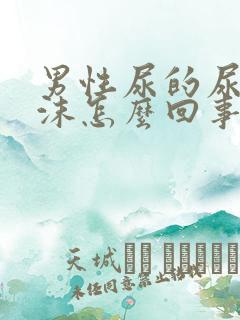 男性尿的尿有泡沫怎么回事