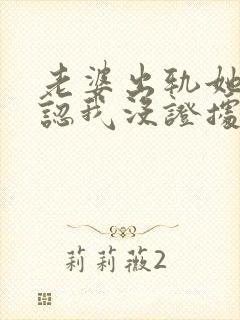 老婆出轨她不承认我没证据