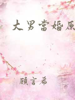 大男当婚原著