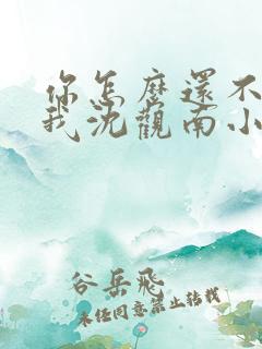 你怎么还不来哄我沈观南小说免费阅读