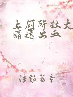 上厕所拉大便又痛还出血