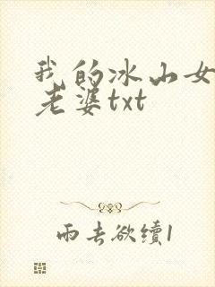 我的冰山女总裁老婆txt