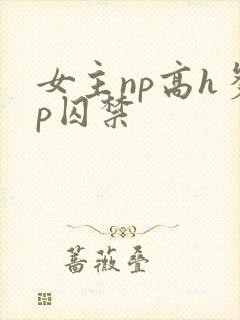 女主np高h多p囚禁