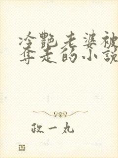 冷艳老婆被少年夺走的小说