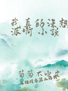 我真的没想当反派啊 小说