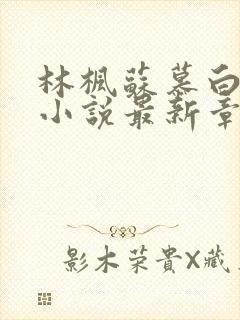 林枫苏慕白穿越小说最新章节更新内容