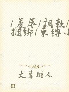 /羞辱/调教/捆绑/束缚小说