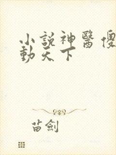 小说神医傻妃名动天下