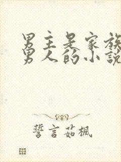 男主是家族唯一男人的小说