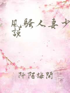 风骚人妻少妇小说