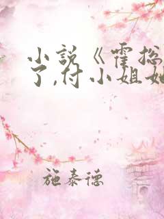 小说《霍总别虐了,付小姐她又去相亲了》