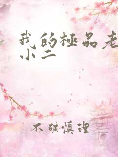 我的极品老婆 小二