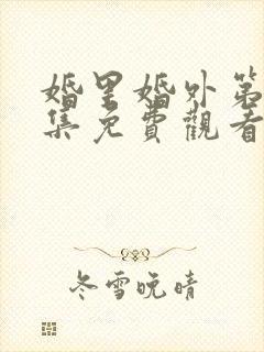 婚里婚外第15集免费观看