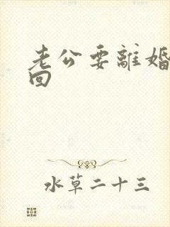 老公要离婚该挽回