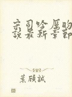 宋司吟厉昀琛小说最新章节免费阅读