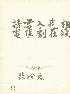 请君入我相思局电视剧在线观看