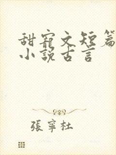 甜宠文短篇完结小说古言