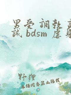 男受 调教 训诫 bdsm 虐身