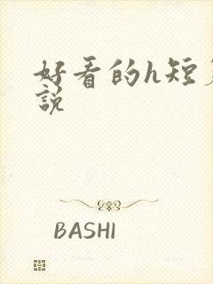 好看的h短篇小说