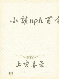 小说nph百合
