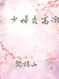 少妇爽高潮小说