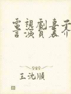 电视剧妻子的谎言演员表介绍