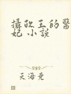 摄政王的医品狂妃 小说