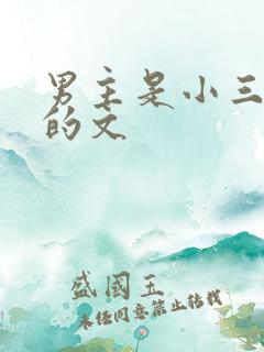 男主是小三上位的文