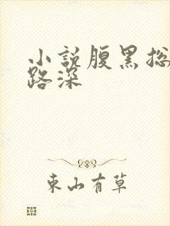 小说腹黑总裁套路深