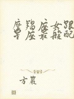 摩羯座女跟哪个星座最般配