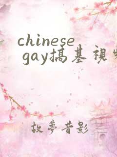 chinese gay搞基视频