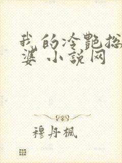 我的冷艳总裁老婆 小说网