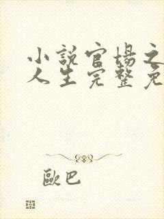 小说官场之风流人生完整免费阅读