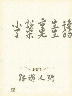 小说重生后她成了宋先生的小祖宗