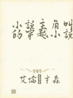 小说主角叫金峰的穿越小说