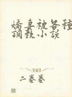 娇妻被各种刑具调教小说