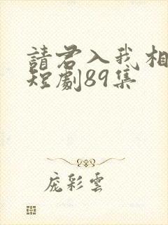 请君入我相思局短剧89集