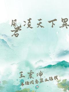 风凌天下异世邪君