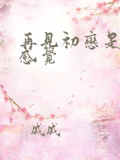 再见初恋是什么感觉