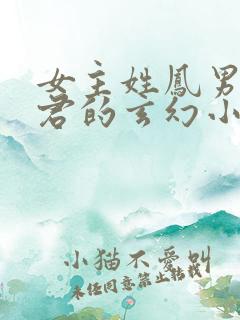 女主姓凤男主姓君的玄幻小说