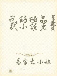 我的极品美女总裁小说免费