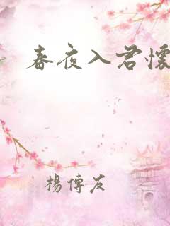 春夜入君怀1