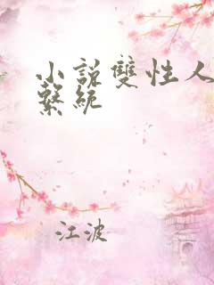 小说双性人高h系统