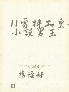 11处特工皇妃小说男主