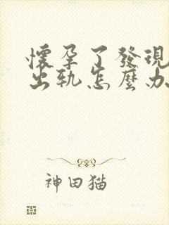 怀孕了发现老公出轨怎么办