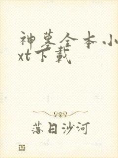 神墓全本小说txt下载